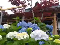 總社 和田八幡宮(福井県)