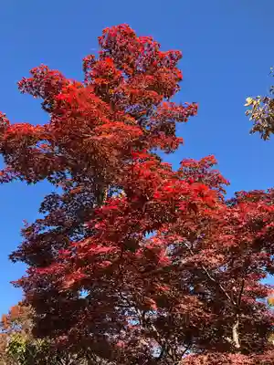 善光寺(長野県)