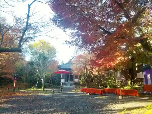 常照寺の景色