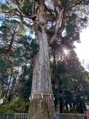 霧島神宮(鹿児島県)