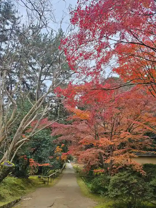 唐招提寺(奈良県)