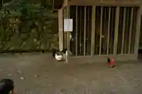 石上神宮(奈良県)