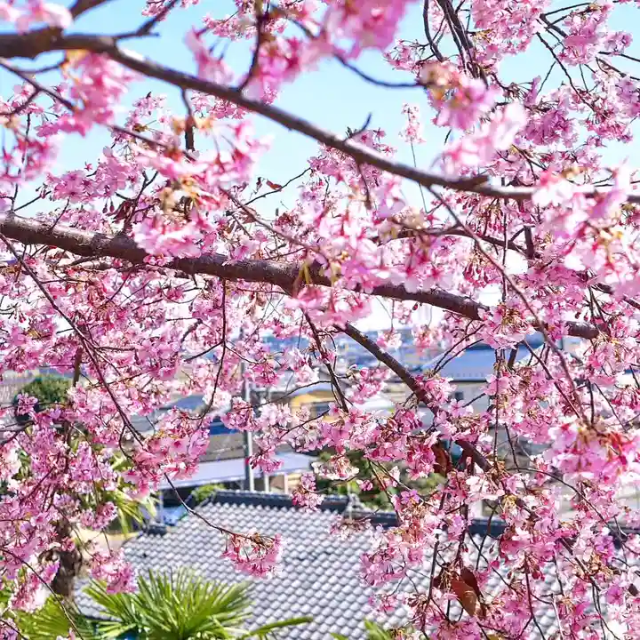 埼玉厄除け開運大師・龍泉寺(切り絵御朱印発祥の寺)の自然