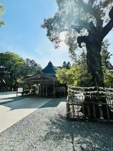 井伊谷宮(静岡県)