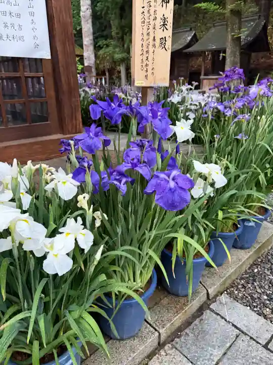 諏訪大社下社春宮(長野県)