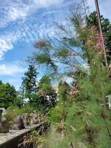 沙沙貴神社(滋賀県)