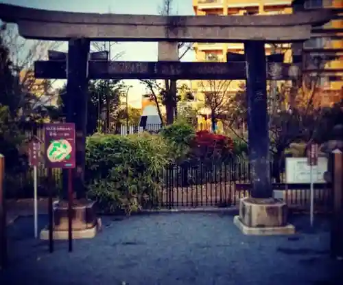 亀戸浅間神社の鳥居