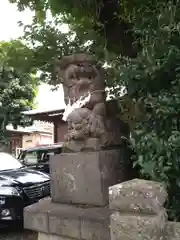 鳩ヶ谷氷川神社の狛犬