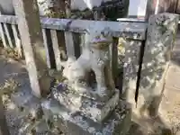 観音寺の狛犬