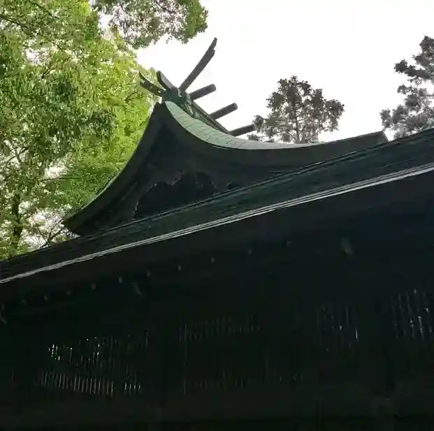 堤治神社の{uncategorized: "未分類", other: "その他", undefined: "問題あり", building: "その他建物", grave: "お墓", sacred_gate: "鳥居", guardian: "狛犬", statue: "像", buddha: "仏像", history: "歴史", nature: "自然", garden: "庭園", animal: "動物", pagoda: "塔", temizu: "手水舎", mountain_gate: "山門・神門", sanctuary: "本殿・本堂", subordinate: "末社・摂社", art: "芸術", scenery: "景色", jizo: "地蔵", ema: "絵馬", goshuin: "御朱印", omikuji: "おみくじ", items: "授与品その他", amulet: "お守り", goshuincho: "御朱印帳", eats: "食事", festival: "お祭り", votive_dance: "神楽", shichigosan: "七五三参", wedding: "結婚式", experience: "体験その他", initially: "初詣", around: "周辺", anti_infection: "感染症対策"}