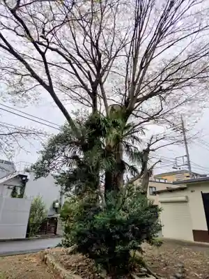 八幡大神社(東京都)