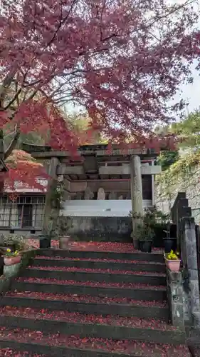 百山神社(大阪府)