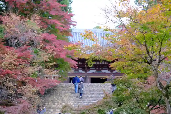 神護寺のその他建物