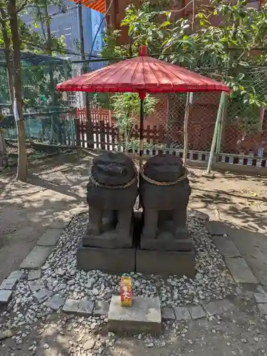 浅草神社の狛犬