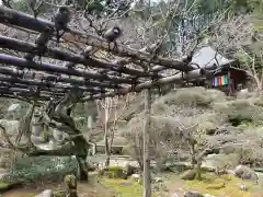 法雲寺の庭園