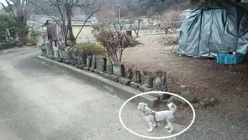 善徳院(山梨県)