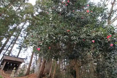 鹿島大神宮の末社