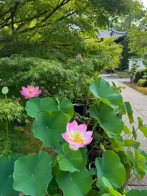伊勢の国 四天王寺(三重県)