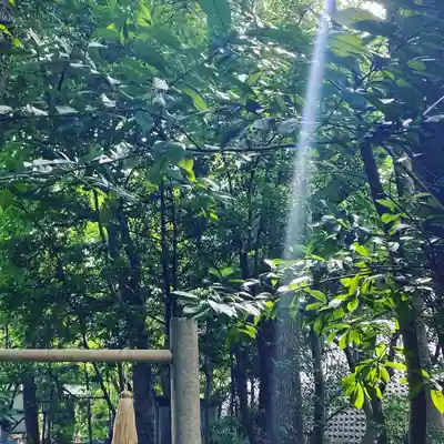 芦屋神社(兵庫県)