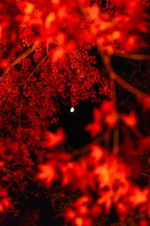 北野天満宮(京都府)