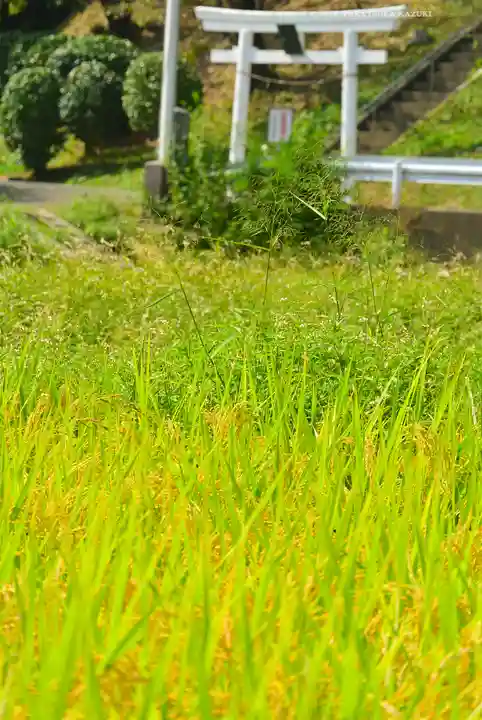 熊野神社(神奈川県)