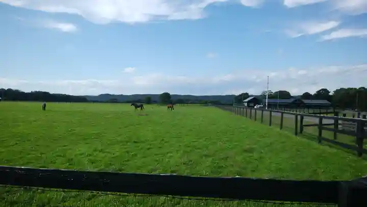 様似住吉神社の周辺