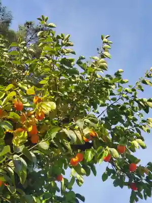 如宝寺(福島県)