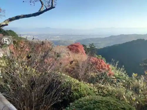 善峯寺(京都府)