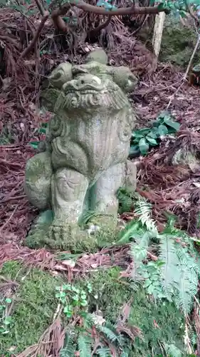 白山比咩神社の狛犬