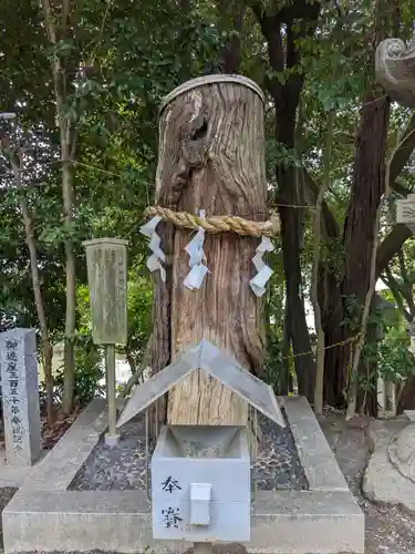 白山神社（二子町）の自然
