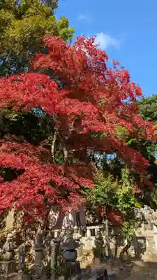 二尊院(京都府)