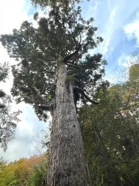 和田神社(滋賀県)