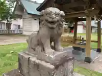 八坂神社の狛犬