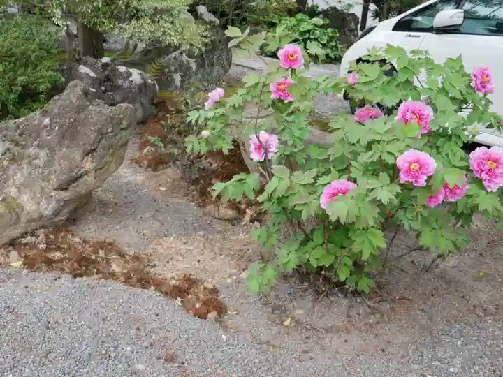 五大堂同聚院の自然