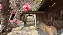 事代主神社(徳島県)