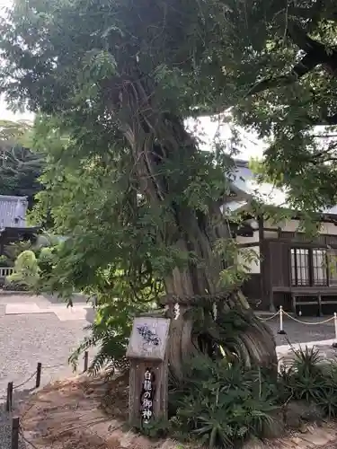 伊古奈比咩命神社の建物その他