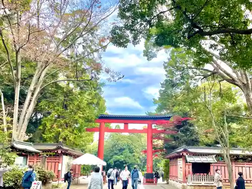 武蔵一宮氷川神社の鳥居