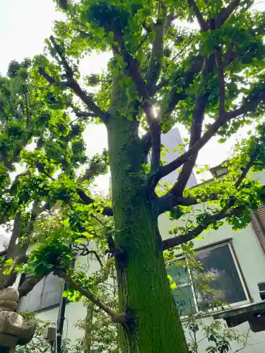 於岩稲荷田宮神社(東京都)