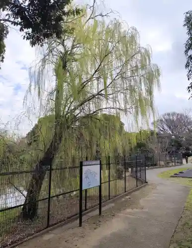 菊田神社の{uncategorized: "未分類", other: "その他", undefined: "問題あり", building: "その他建物", grave: "お墓", sacred_gate: "鳥居", guardian: "狛犬", statue: "像", buddha: "仏像", history: "歴史", nature: "自然", garden: "庭園", animal: "動物", pagoda: "塔", temizu: "手水舎", mountain_gate: "山門・神門", sanctuary: "本殿・本堂", subordinate: "末社・摂社", art: "芸術", scenery: "景色", jizo: "地蔵", ema: "絵馬", goshuin: "御朱印", omikuji: "おみくじ", items: "授与品その他", amulet: "お守り", goshuincho: "御朱印帳", eats: "食事", festival: "お祭り", votive_dance: "神楽", shichigosan: "七五三参", wedding: "結婚式", experience: "体験その他", initially: "初詣", around: "周辺", anti_infection: "感染症対策"}
