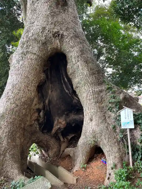 五所八幡宮(福岡県)