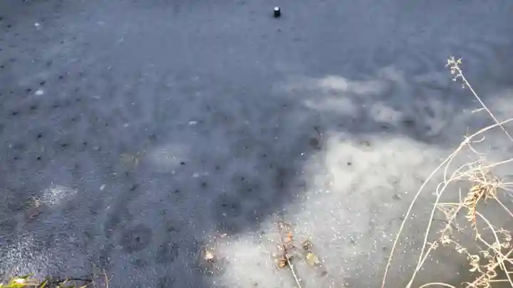 石清水八幡宮(京都府)