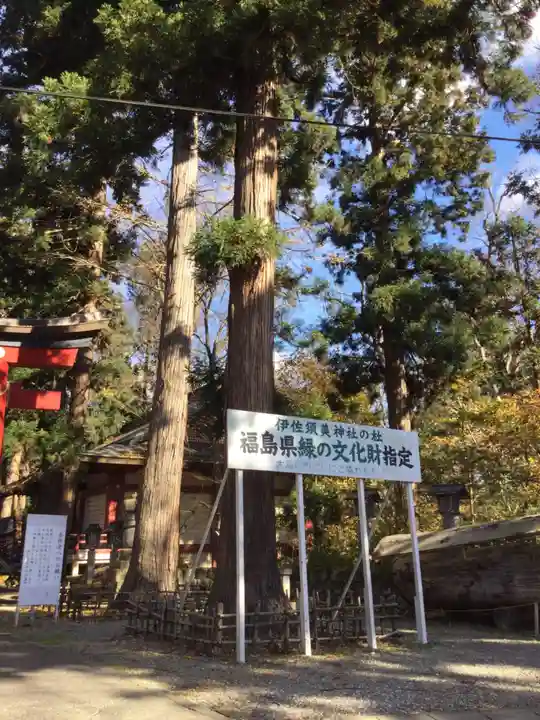伊佐須美神社の自然