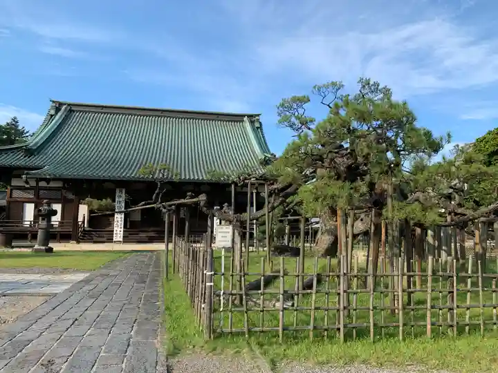 大光院 新田寺の庭園