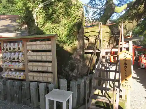 熊野那智大社(和歌山県)