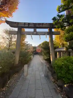 鳩森八幡神社の鳥居
