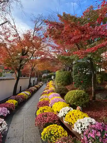 宝徳寺の建物その他