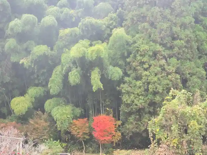 若宮神社(桧倉)(兵庫県)