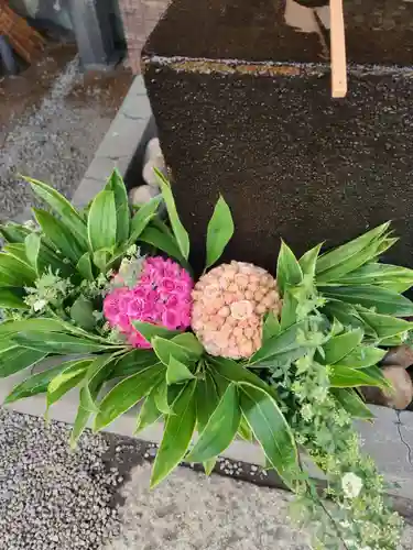 上尾御嶽神社の手水