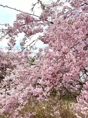 諏訪神社の自然