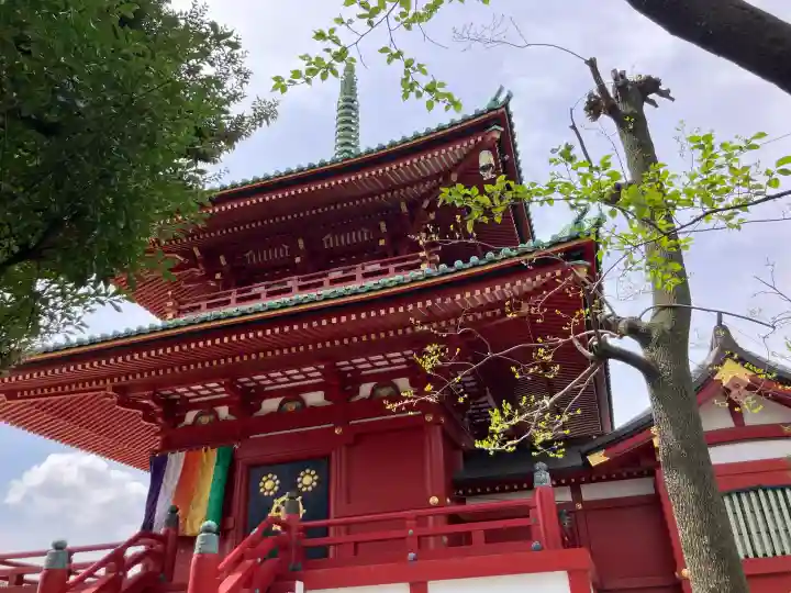 孝道山の{uncategorized: "未分類", other: "その他", undefined: "問題あり", building: "その他建物", grave: "お墓", sacred_gate: "鳥居", guardian: "狛犬", statue: "像", buddha: "仏像", history: "歴史", nature: "自然", garden: "庭園", animal: "動物", pagoda: "塔", temizu: "手水舎", mountain_gate: "山門・神門", sanctuary: "本殿・本堂", subordinate: "末社・摂社", art: "芸術", scenery: "景色", jizo: "地蔵", ema: "絵馬", goshuin: "御朱印", omikuji: "おみくじ", items: "授与品その他", amulet: "お守り", goshuincho: "御朱印帳", eats: "食事", festival: "お祭り", votive_dance: "神楽", shichigosan: "七五三参", wedding: "結婚式", experience: "体験その他", initially: "初詣", around: "周辺", anti_infection: "感染症対策"}